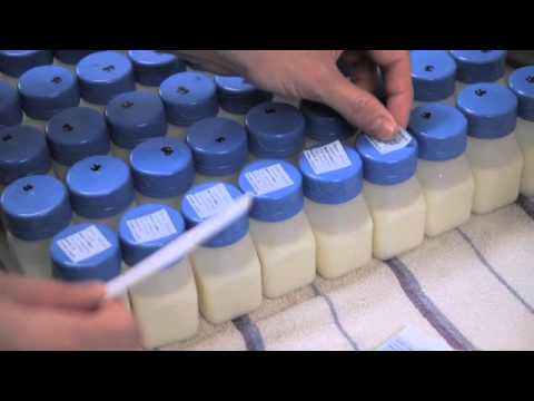 Donating Breast Milk Part 1